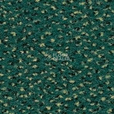 Ковролин Balsan Zenith Roll 246 фото 1 | FLOORDEALER